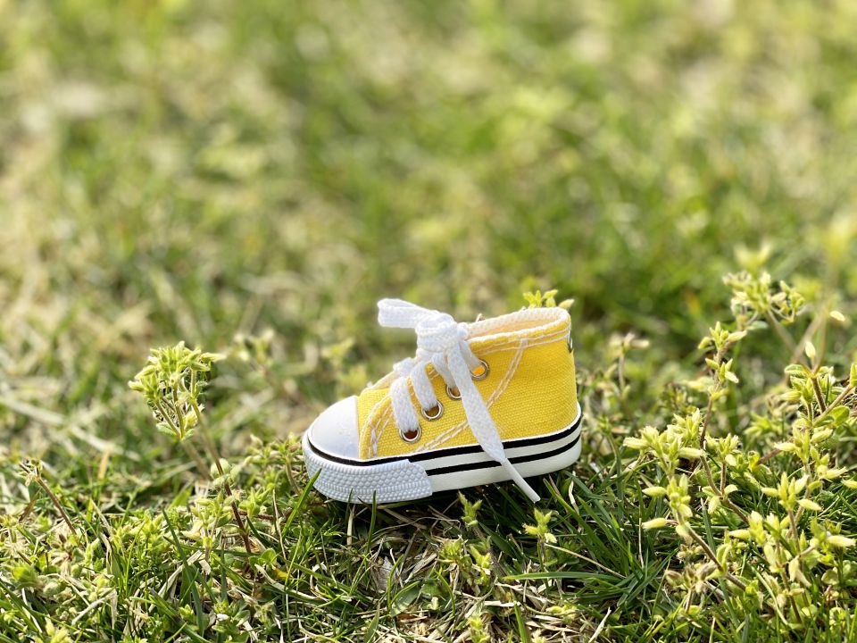 クラスTシャツが紡ぐ一体感と個性学生イベントを彩るデザイン進化の今