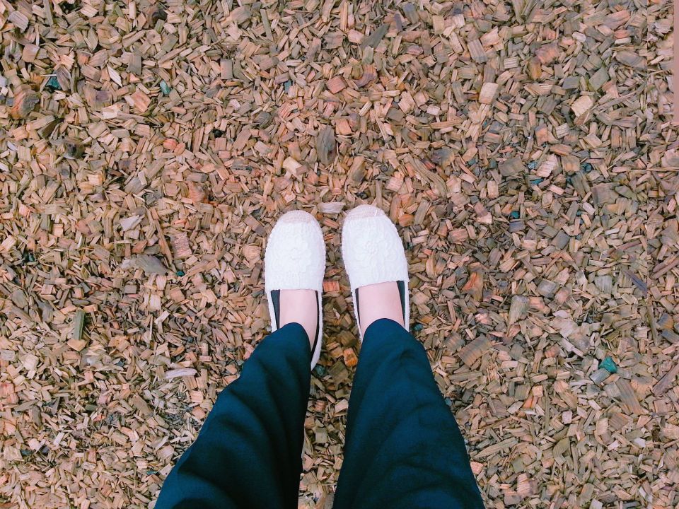 クラスTシャツに託す学園生活の個性と一体感今どきデザイン事情を紐解く